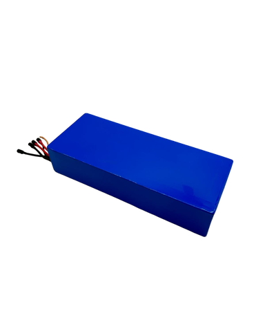 DUALTRON VICTOR & LUXURY & SPIDER 2 & FOREVER LTD | BATTERIE 60V24AH