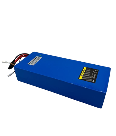 DUALTRON SPIDER 2 | BATTERIE 60V24AH RECONDITIONNEE