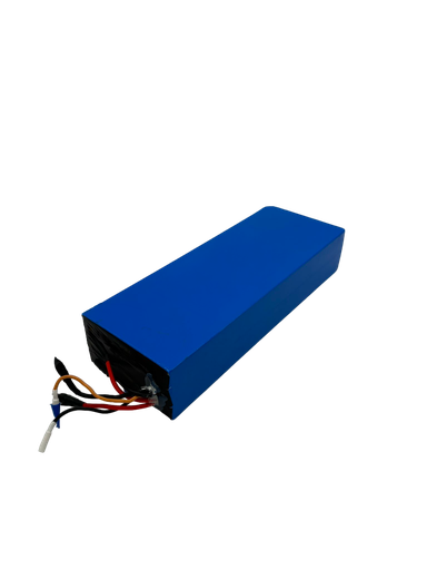 DUALTRON VICTOR LUXURY PLUS & LTD | BATTERIE 60V28AH