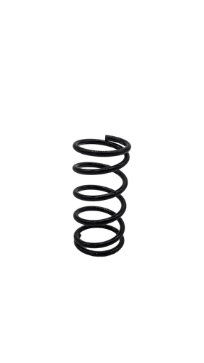 DUALTRON DOLPHIN | SUSPENSION AVANT