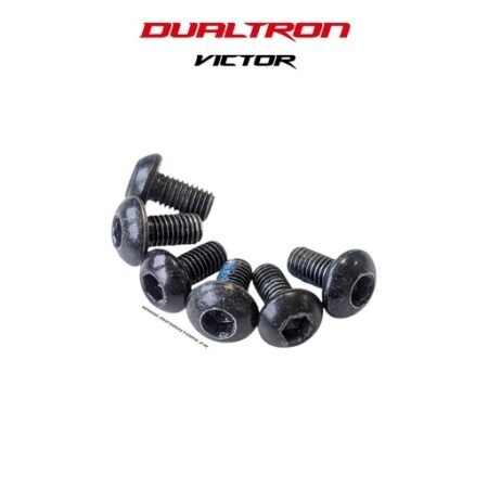 DUALTRON VICTOR | VIS DISQUE DE FREIN (X6)